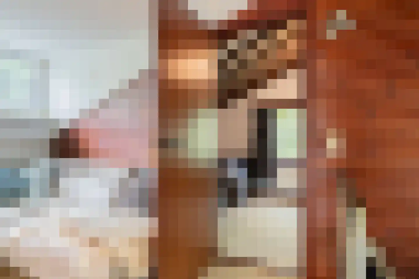 Parklaan 89 Putte thumbnail 28