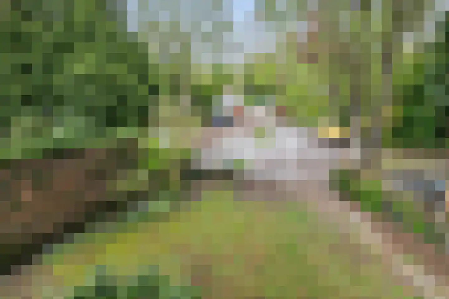 Parklaan 89 Putte thumbnail 31