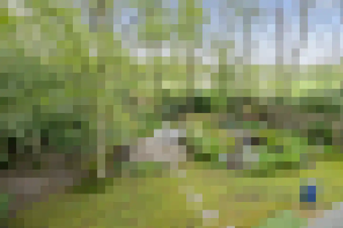 Parklaan 89 Putte thumbnail 32