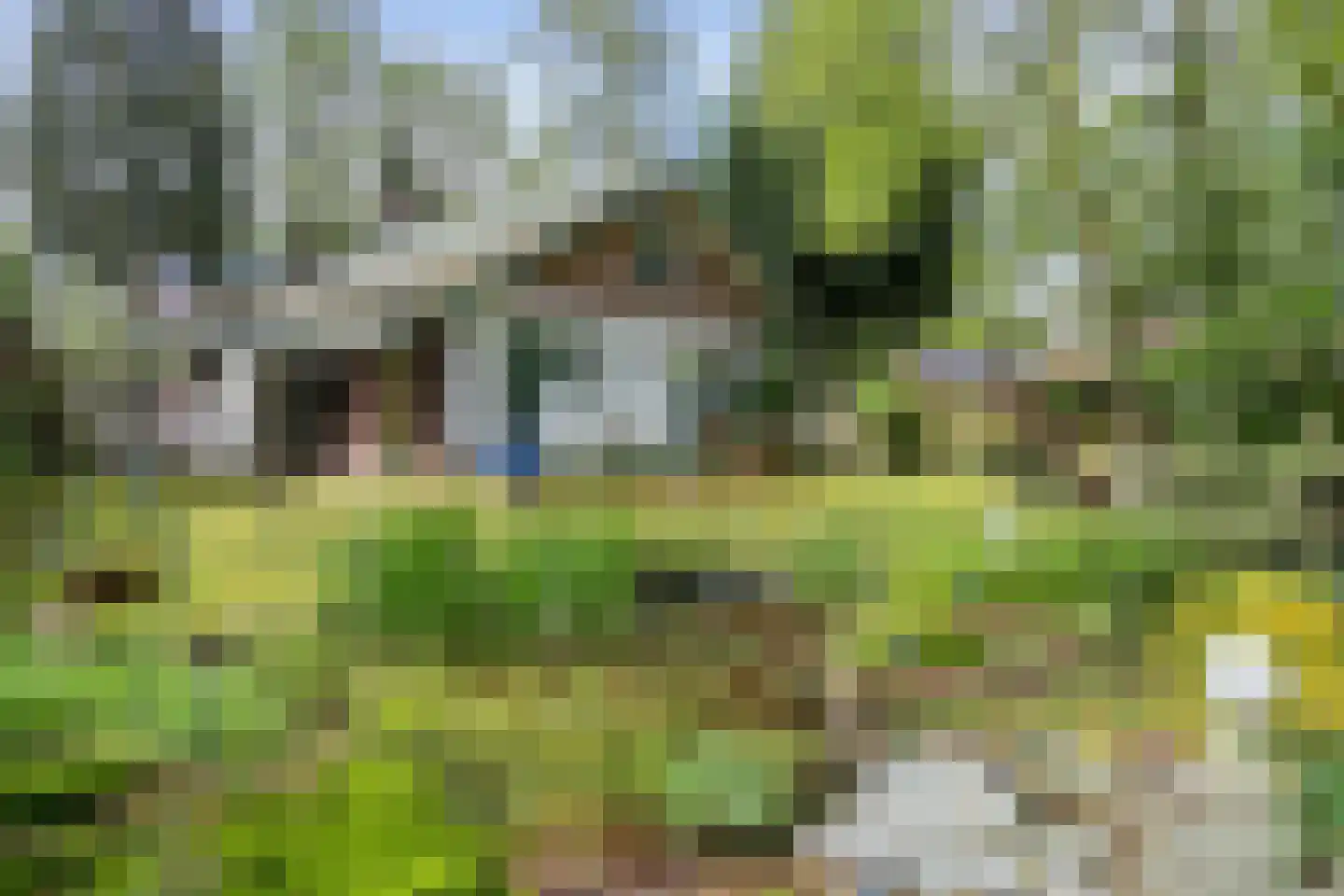 Parklaan 89 Putte thumbnail 33
