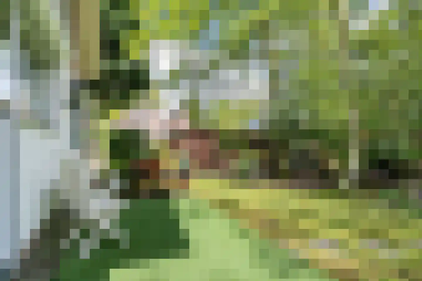Parklaan 89 Putte thumbnail 35