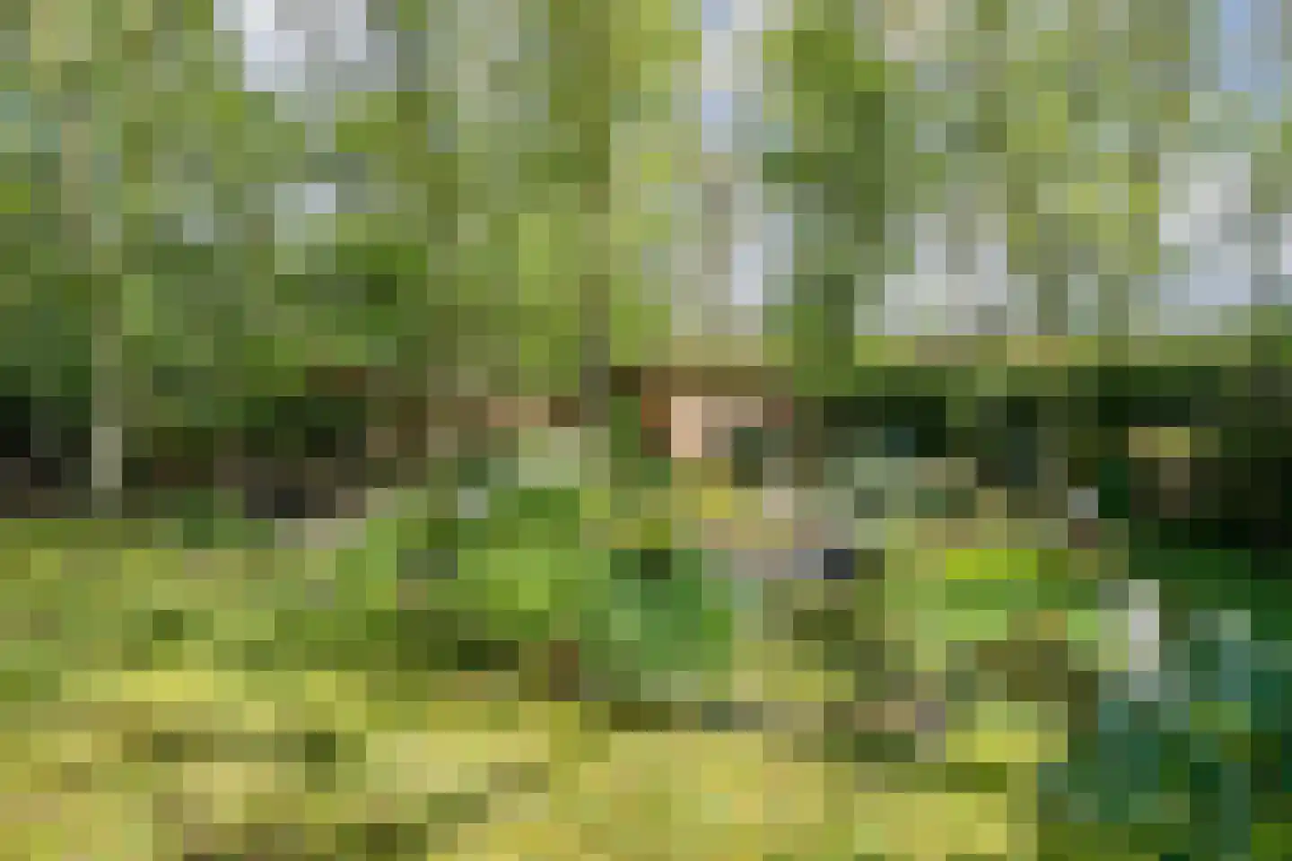 Parklaan 89 Putte thumbnail 36
