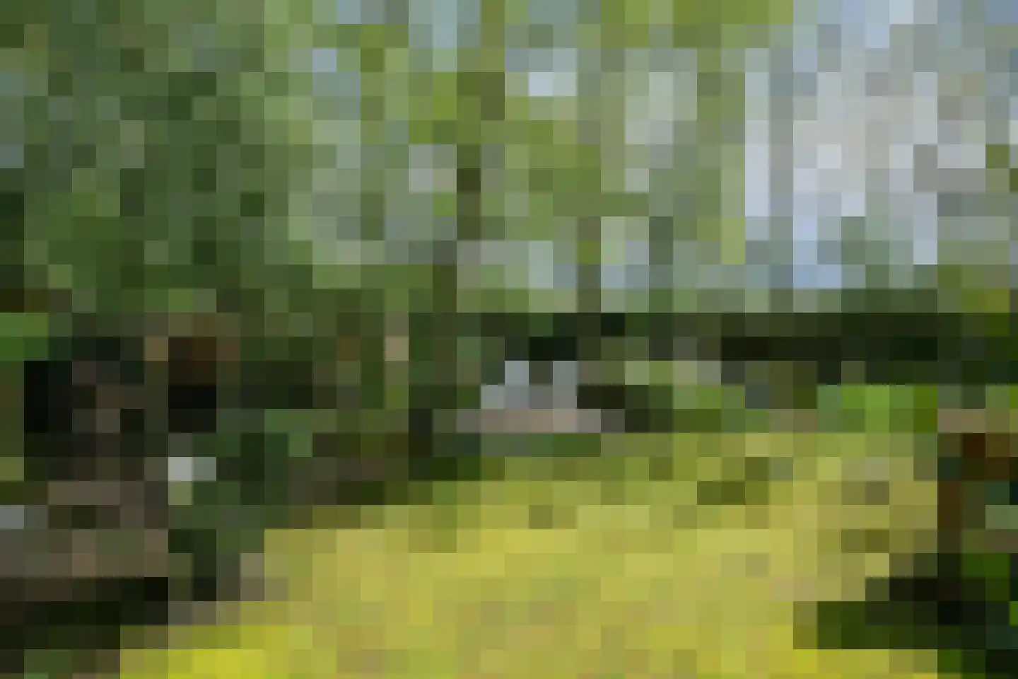 Parklaan 89 Putte thumbnail 37