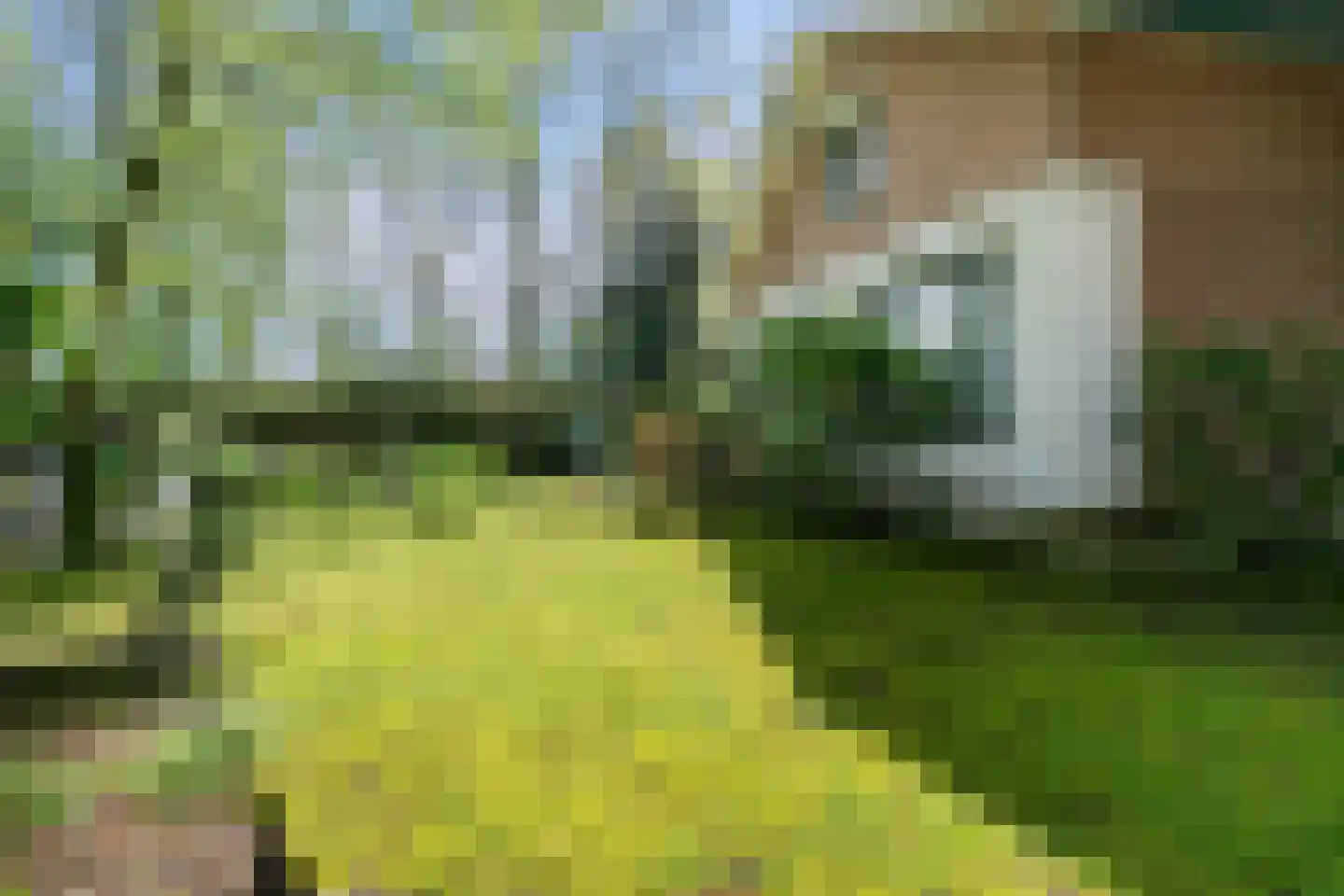 Parklaan 89 Putte thumbnail 38
