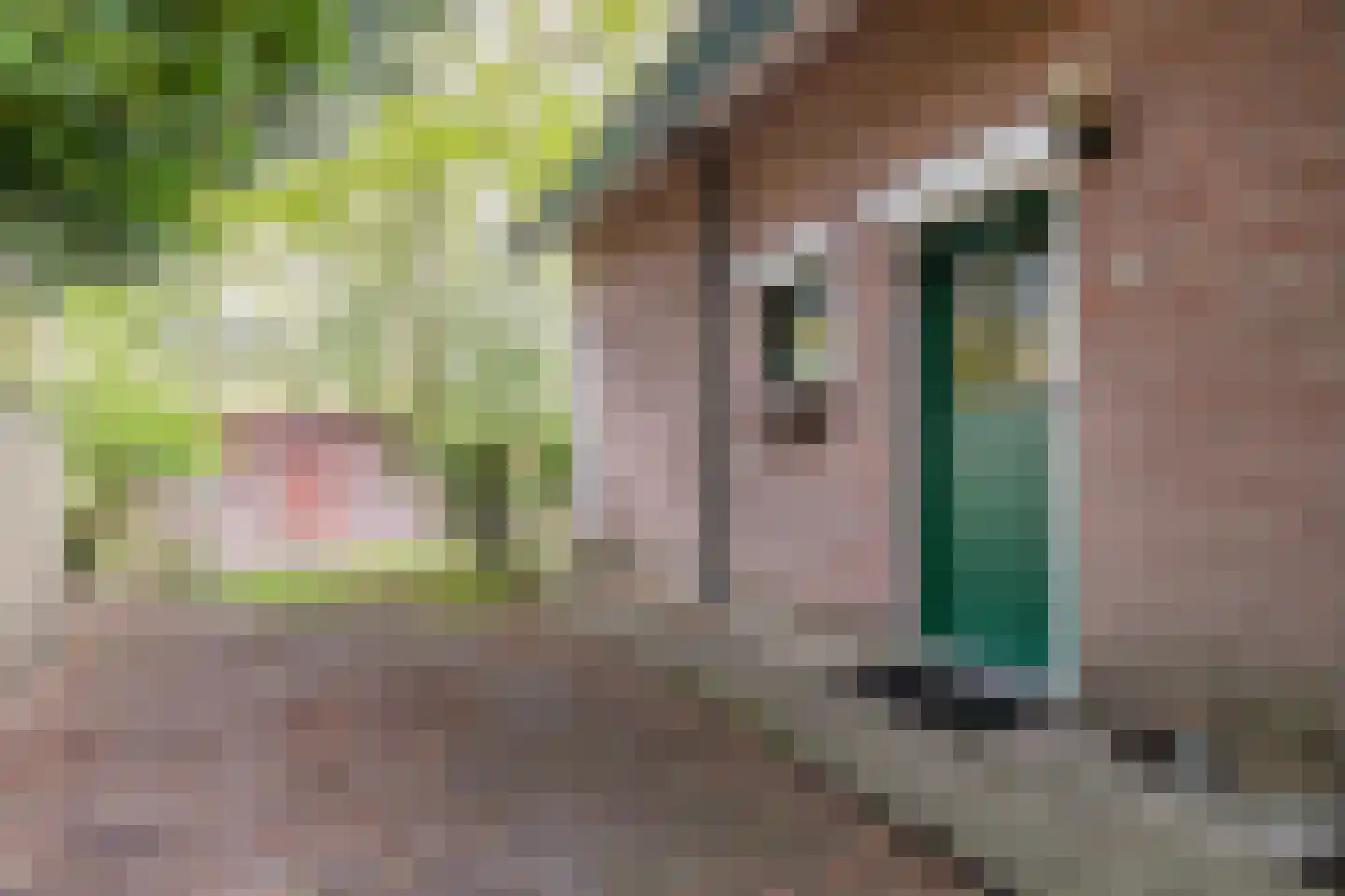 Parklaan 89 Putte thumbnail 4