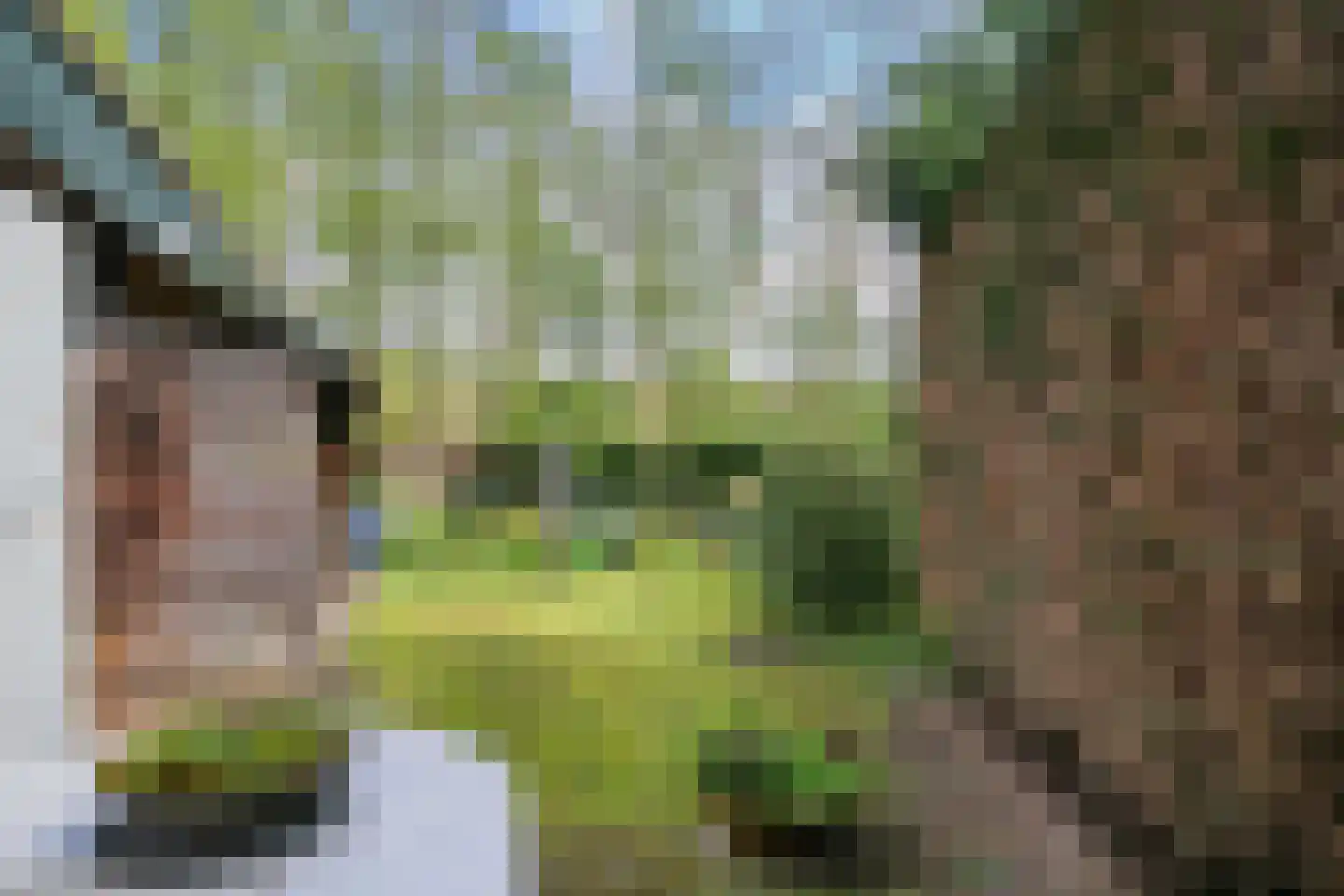 Parklaan 89 Putte thumbnail 42