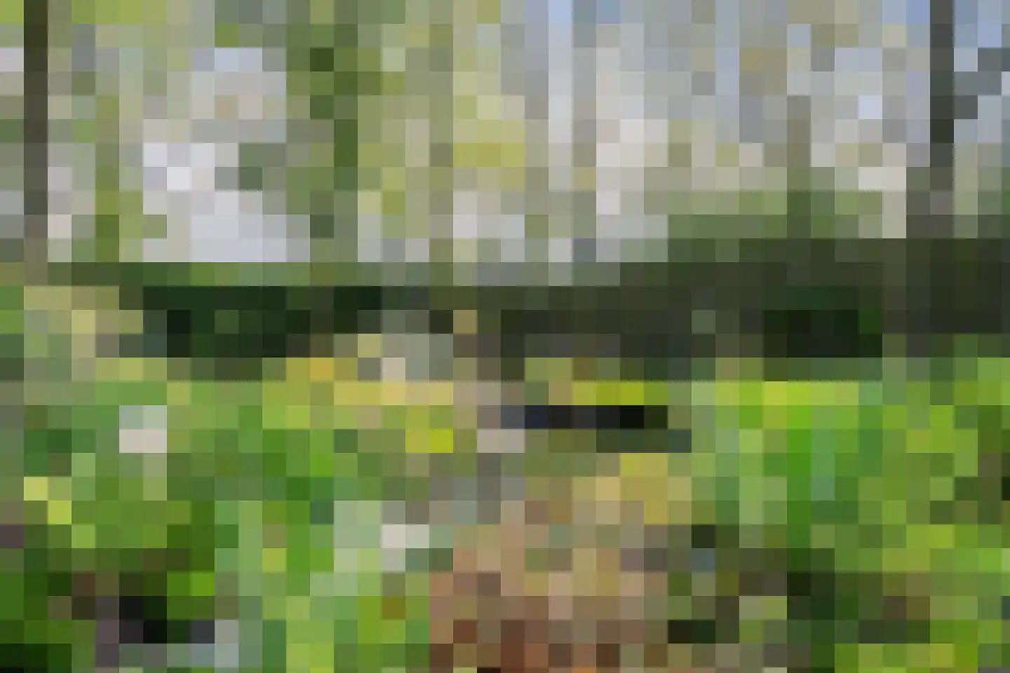 Parklaan 89 Putte thumbnail 43