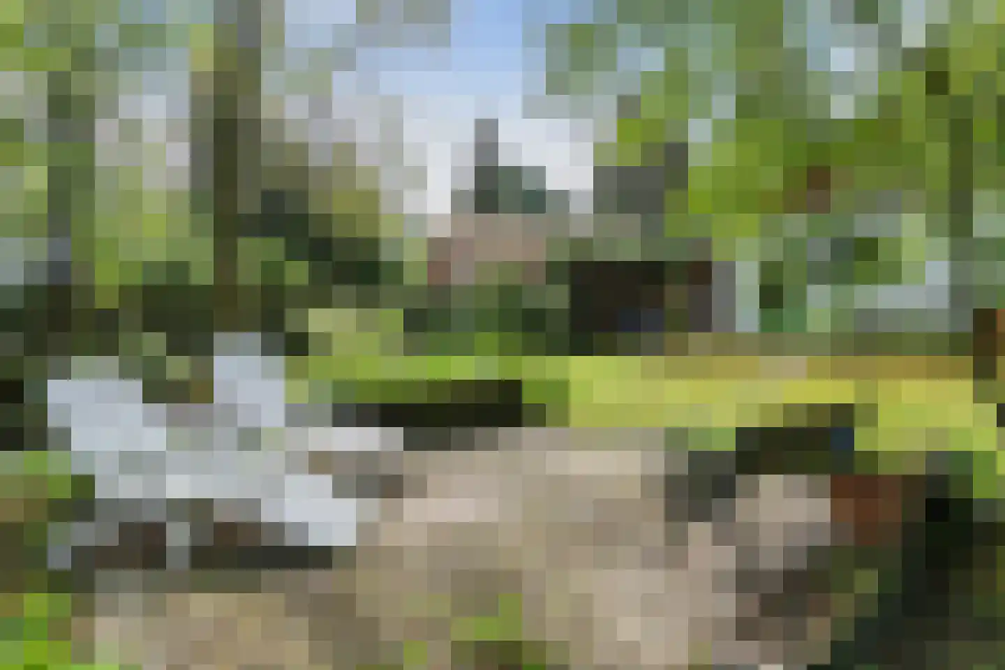 Parklaan 89 Putte thumbnail 44