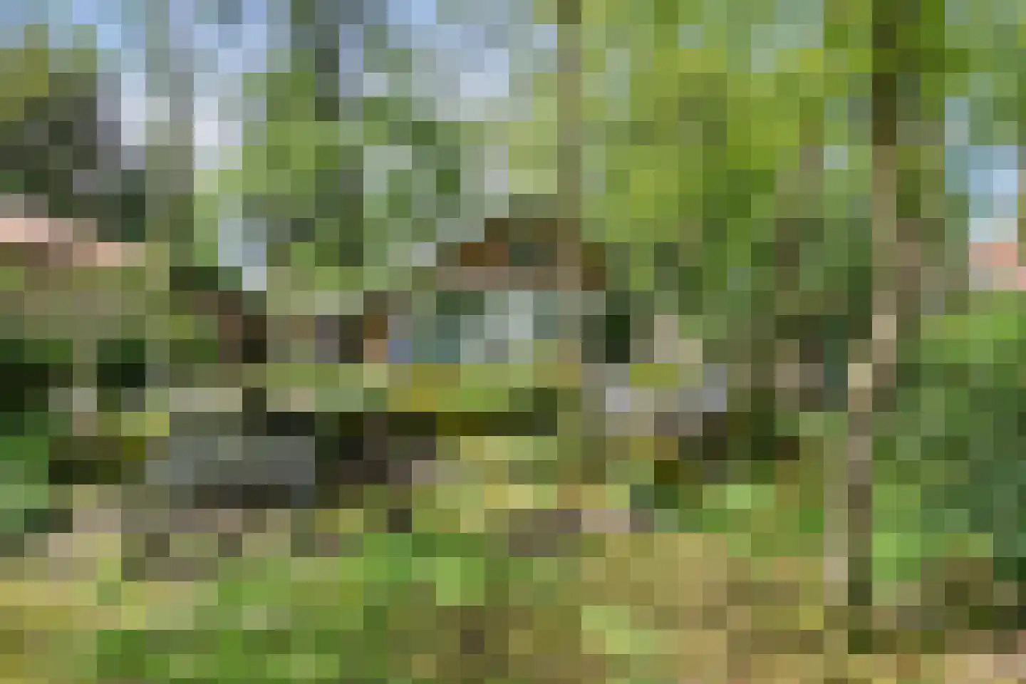 Parklaan 89 Putte thumbnail 47