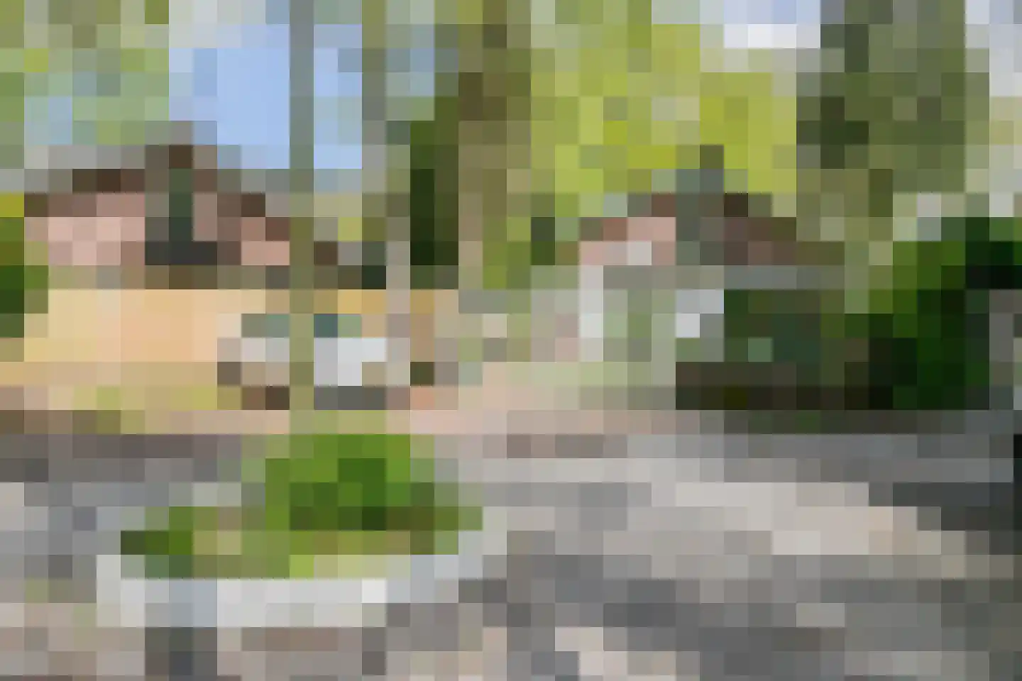 Parklaan 89 Putte thumbnail 51