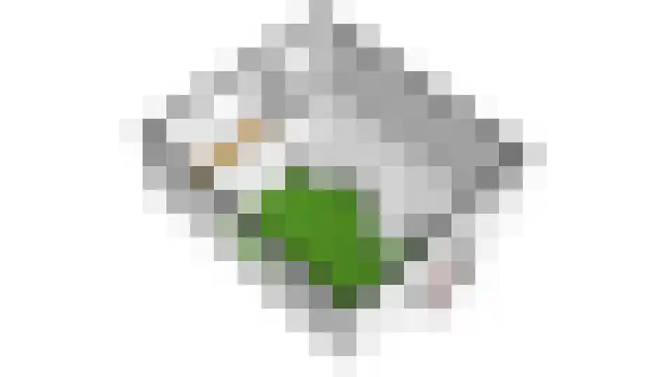 Parklaan 89 Putte thumbnail 60