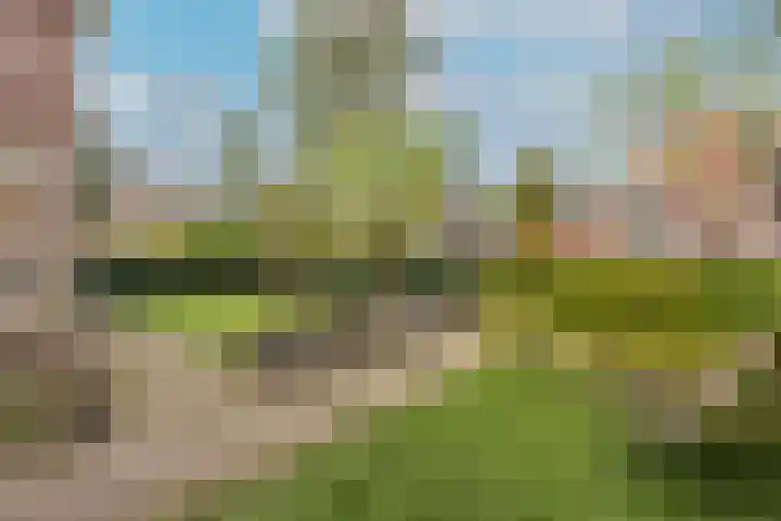 Parklaan 9 Driebergen-Rijsenburg thumbnail 35