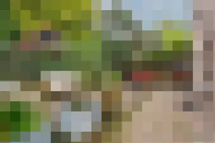 Parklaan 9 Driebergen-Rijsenburg thumbnail 36