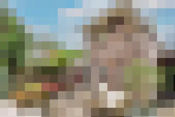 Parklaan 9 Driebergen-Rijsenburg thumbnail 37