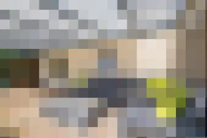 Parklaan 9 Reuver thumbnail 21