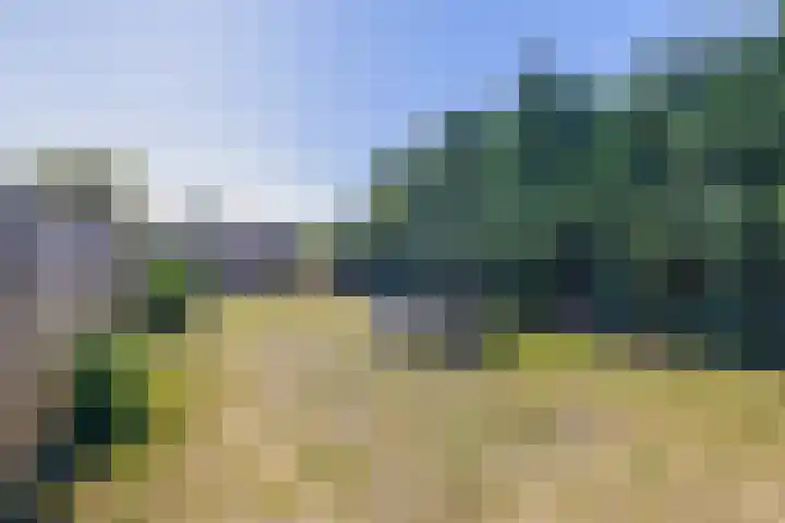 Parklaan 9 Reuver thumbnail 23
