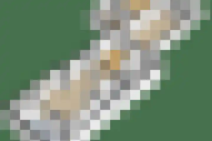 Parklaan 9 Reuver thumbnail 33