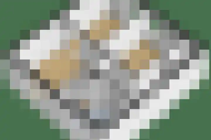 Parklaan 9 Reuver thumbnail 34