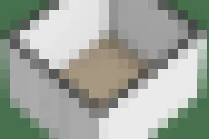 Parklaan 9 Reuver thumbnail 36