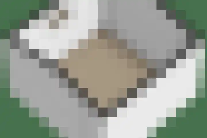 Parklaan 9 Reuver thumbnail 37