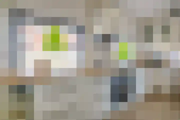 Parklaan 9 Reuver thumbnail 4