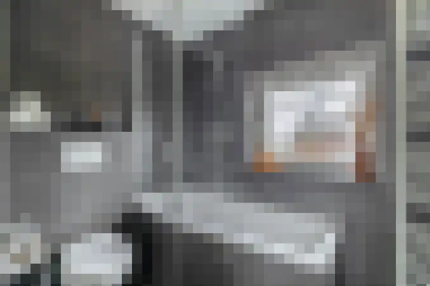 Parklaan 90 Reuver thumbnail 18