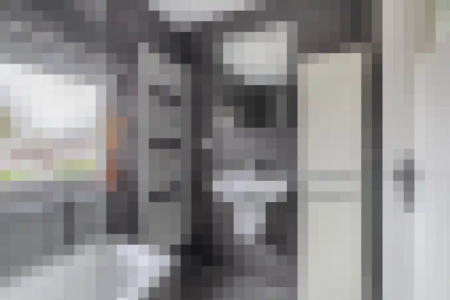 Parklaan 90 Reuver thumbnail 20