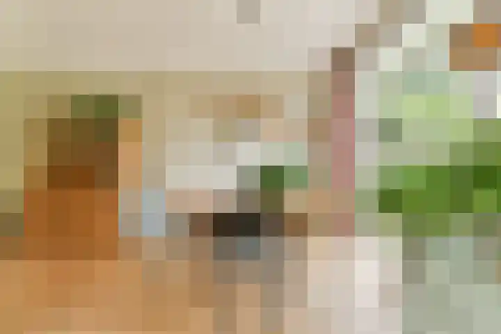 Parklaan 90 Sassenheim thumbnail 10