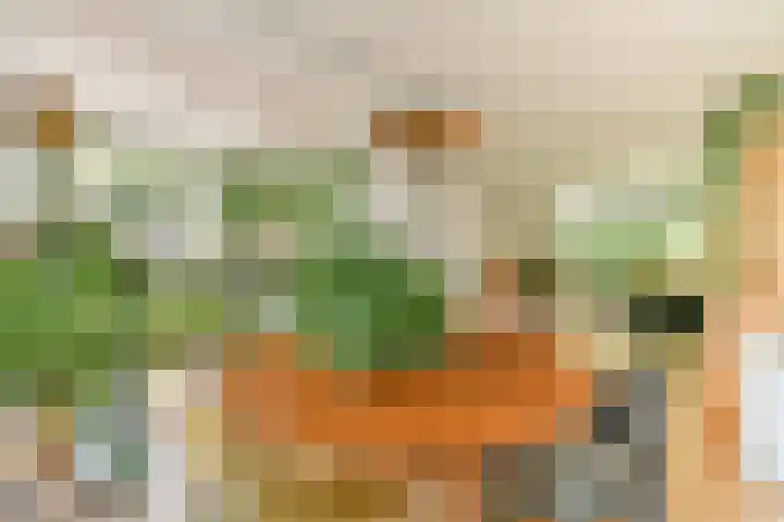 Parklaan 90 Sassenheim thumbnail 11