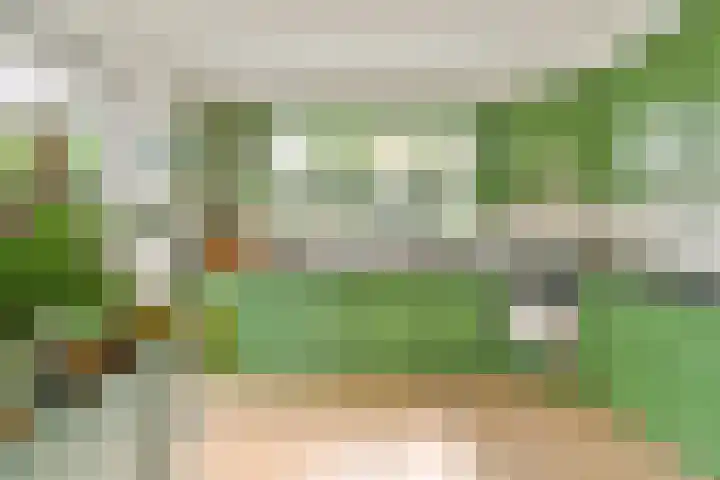 Parklaan 90 Sassenheim thumbnail 12