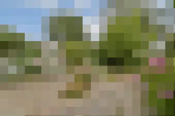 Parklaan 90 Sassenheim thumbnail 13