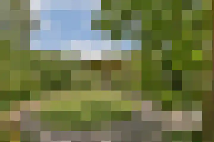 Parklaan 90 Sassenheim thumbnail 14