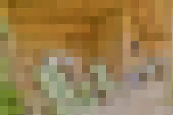 Parklaan 90 Sassenheim thumbnail 15