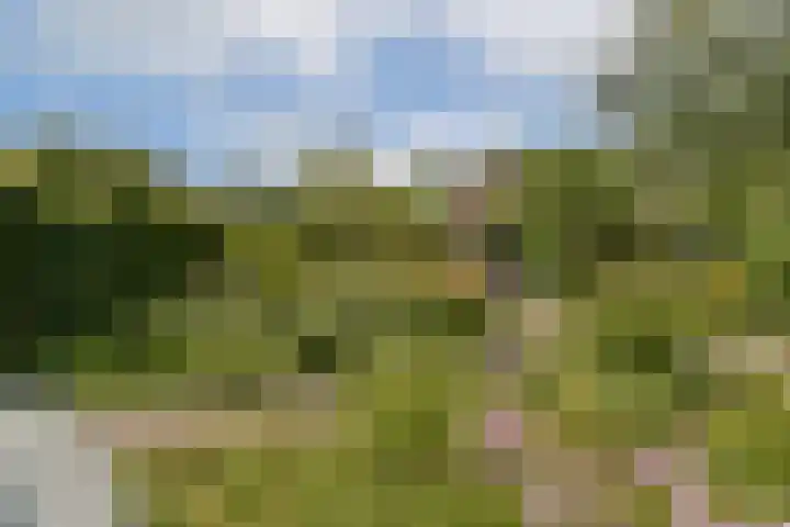 Parklaan 90 Sassenheim thumbnail 16