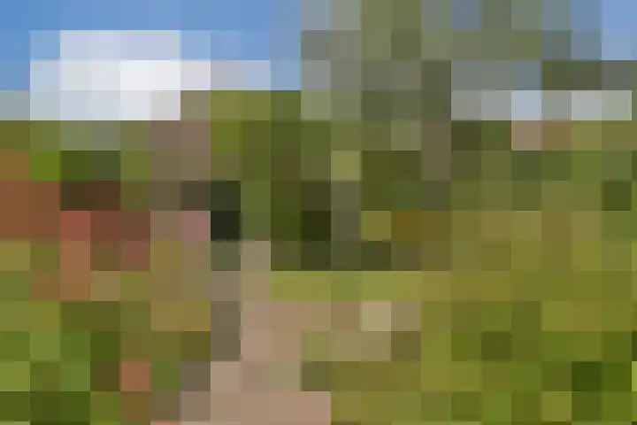 Parklaan 90 Sassenheim thumbnail 17