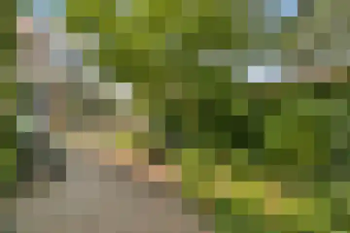 Parklaan 90 Sassenheim thumbnail 18