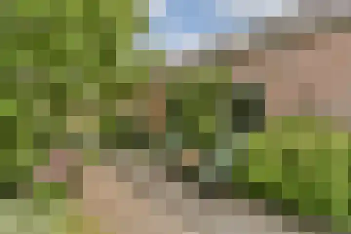 Parklaan 90 Sassenheim thumbnail 19