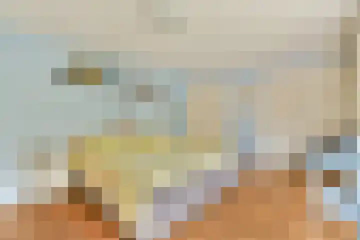 Parklaan 90 Sassenheim thumbnail 25