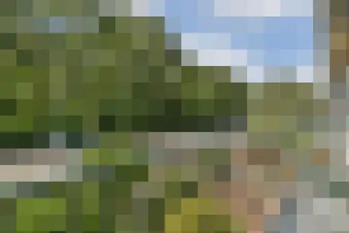 Parklaan 90 Sassenheim thumbnail 26