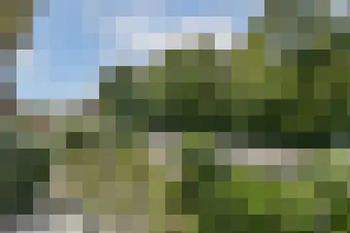Parklaan 90 Sassenheim thumbnail 27