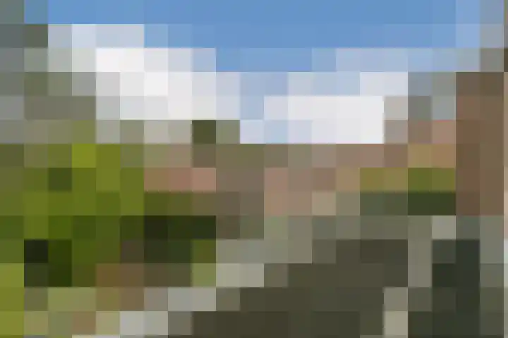 Parklaan 90 Sassenheim thumbnail 30