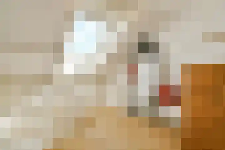 Parklaan 90 Sassenheim thumbnail 33