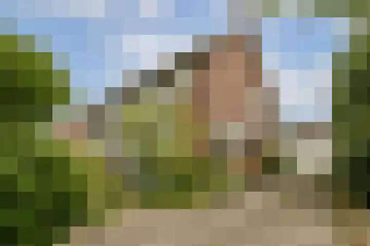 Parklaan 90 Sassenheim thumbnail 40