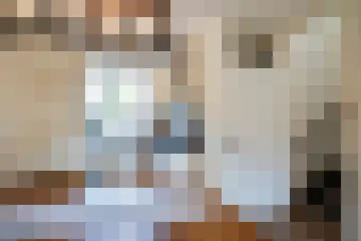 Parklaan 91 Reuver thumbnail 15