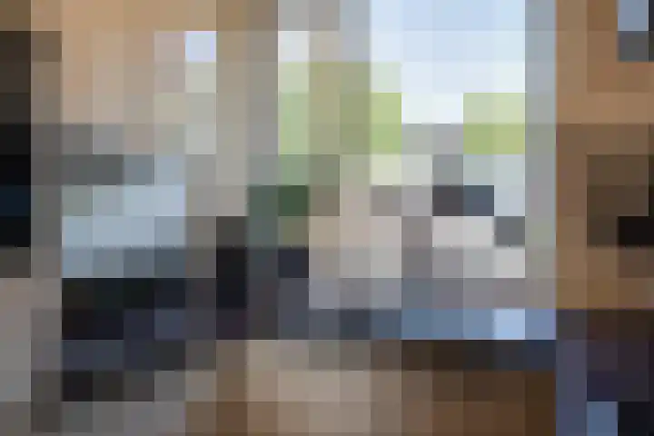 Parklaan 91 Reuver thumbnail 18