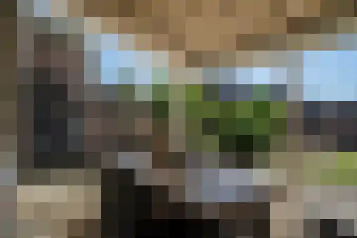 Parklaan 91 Reuver thumbnail 20