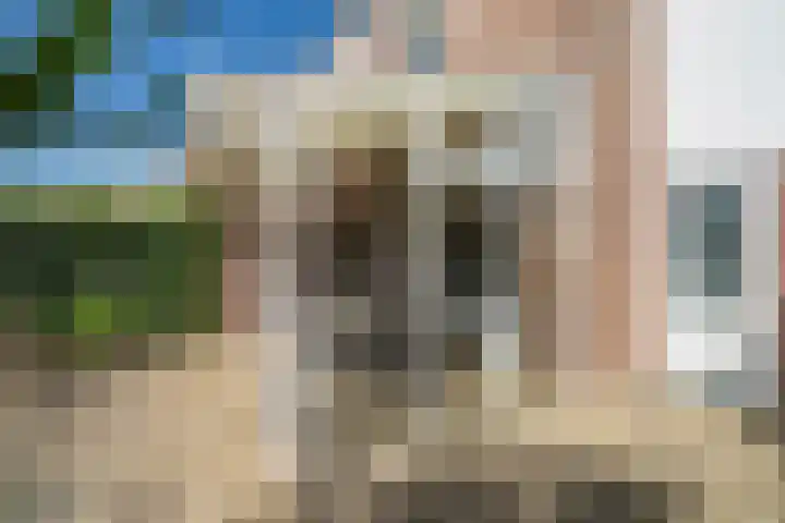 Parklaan 91 Reuver thumbnail 21