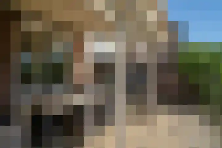Parklaan 91 Reuver thumbnail 23