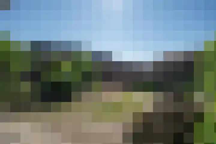 Parklaan 91 Reuver thumbnail 37