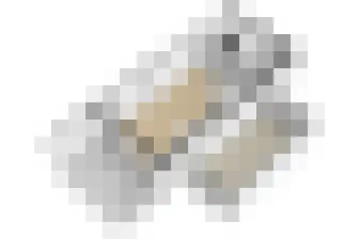 Parklaan 91 Reuver thumbnail 41